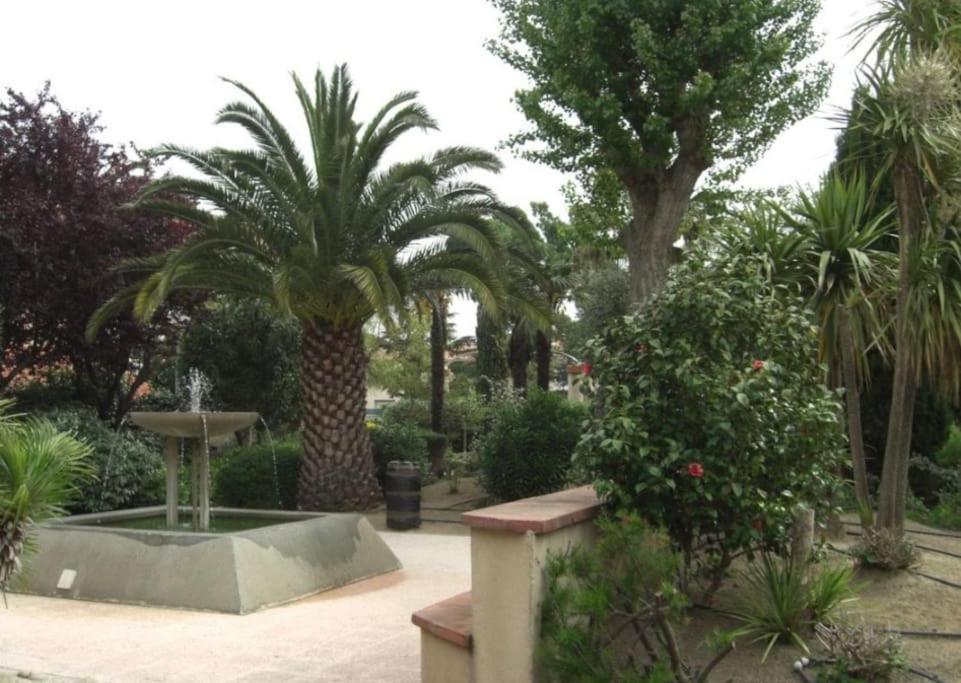 La Brise Marine ~ 300M Mer~Piscine~Clim~Wifi~Calme Argeles-sur-Mer Exterior photo